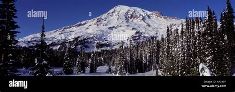 Image result for Text Align HTML Code