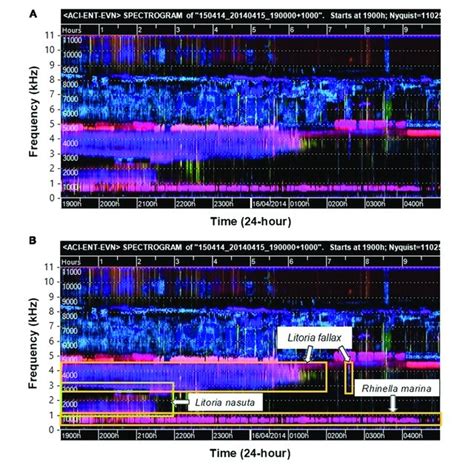 Color Spectrogram 的图像结果