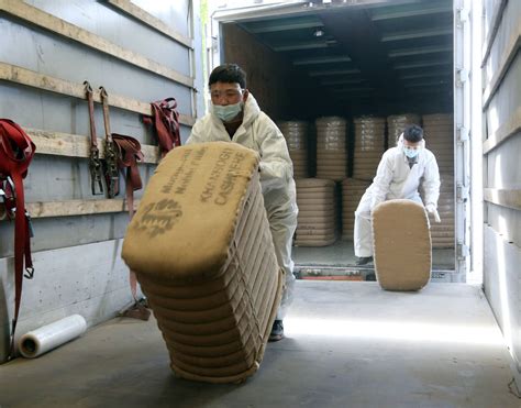 Mongolia exports cashmere to Italy by land for first time - News.MN