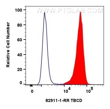 TBCD antibody (82911-1-PBS) | Proteintech