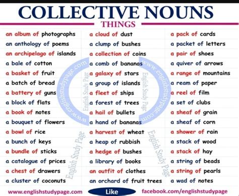 100 collective nouns - Brainly.in