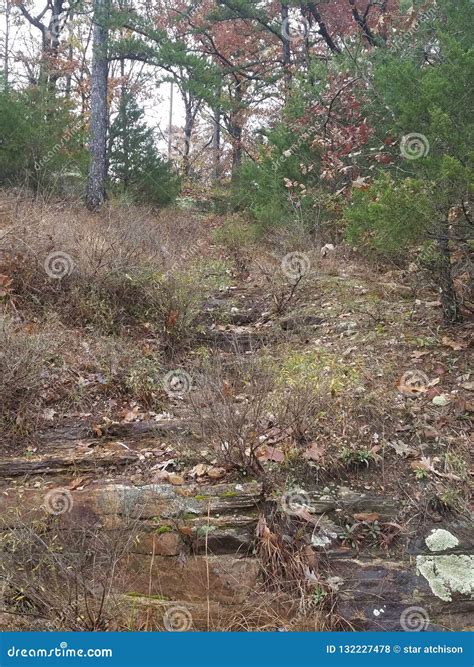 Image result for Natural Stone Path