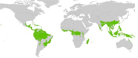 Classification Of World Climate Koppen Climate Change | Studento