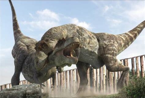 恐龙的起源进化与灭绝（恐龙的演变史和灭绝）