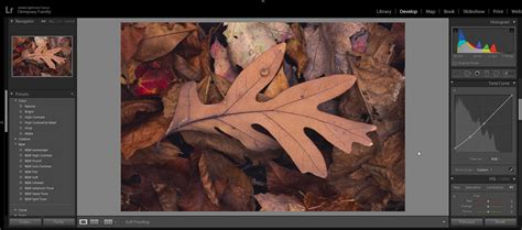 Image result for Screen Post-Process Effects