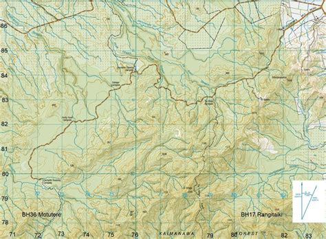 Club members Party Hunts - Sika @ Clements Mill, Kaimanawa Forest Park ...