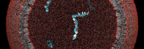 How Did Life First Form 的图像结果