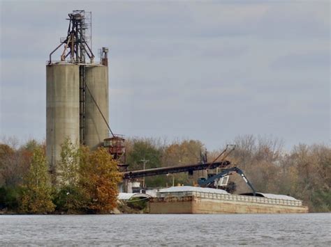 750k pounds of invasive silver carp harvested from Illinois River ...