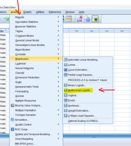 Using Multiple Logistic Regression SPSS 的图像结果