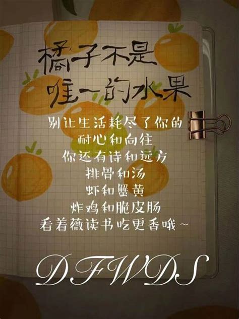 《橘子不是唯一的水果》-浙江财经大学东方学院图书馆