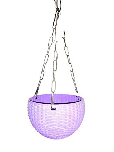 Buy Hanging Pot Decorative Beautiful & Colourful Gardening Pot for ...