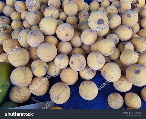 Image result for Kuning Kecapi