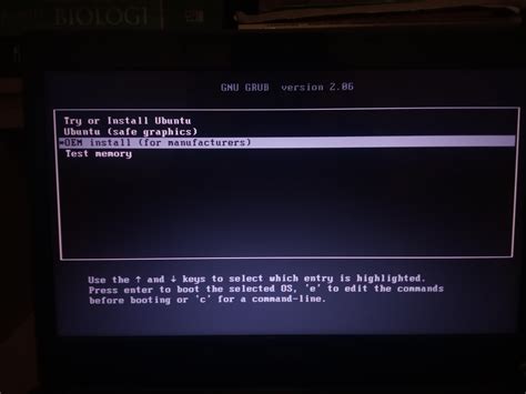 boot - Blinking dash after choosing "Try and Install Ubuntu" on Ubuntu ...