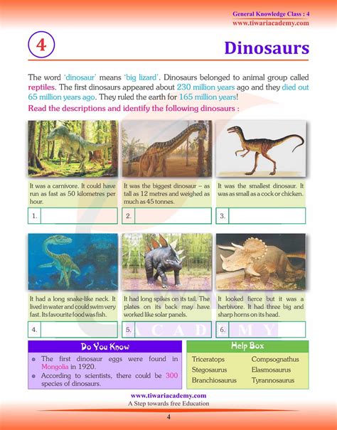 Class 4 Knowledge Test 的图像结果