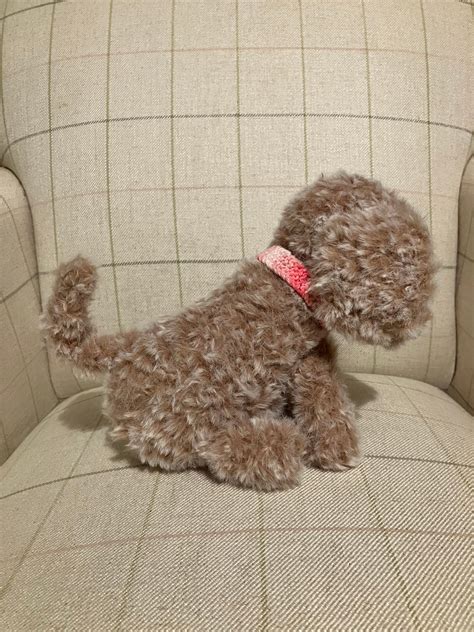 Image result for Cockapoo Teddy Cut