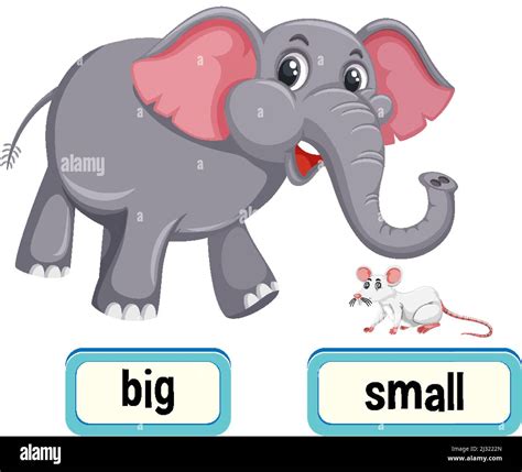 Big And Little Clipart