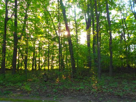 Rezultat imagine pentru Motorhome Modifications