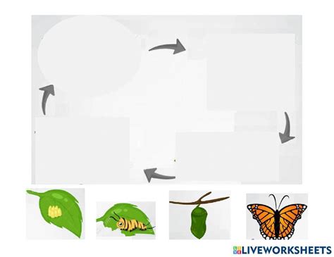 Image result for MySQL Queries Examples with Answers