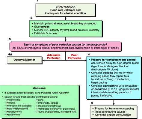 Part 7.3: Management of Symptomatic Bradycardia and Tachycardia ...