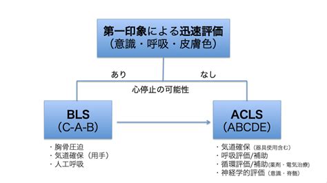 救急の基本は【A-B-C】。C-A-Bではありません | BLS横浜