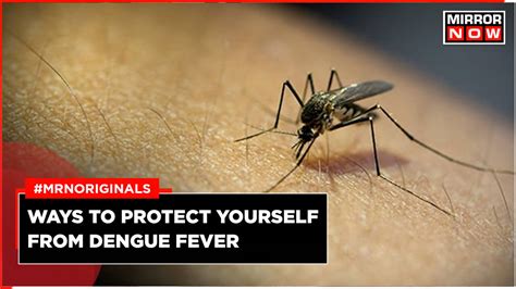 Dengue Cases Rising Sharply In India; What Are The Symptoms? Here's How ...