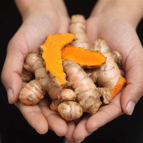 7 Ways to Identify Pure Lakadong Turmeric – Daily Farmer Guide