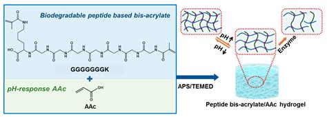 Biodegradable and pH Sensitive Peptide Based Hydrogel as Controlled ...