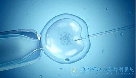 试管婴儿的进周、促排卵分别是指什么-深圳中山妇产医院