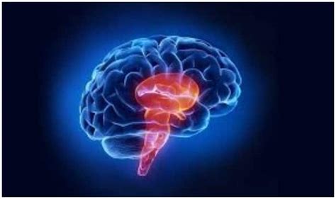 Cut Down Stroke Risk by Reducing Remnant Cholesterol | India.com