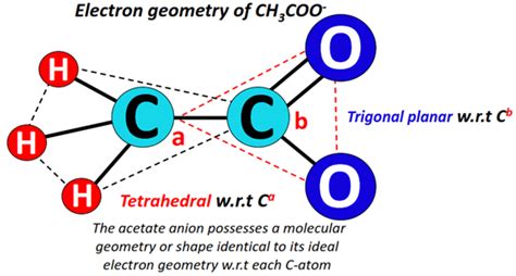 Image result for Ch3coo- Resonance Structures