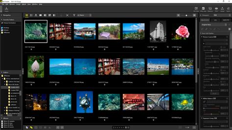 Image result for Editing Programs for Nikon