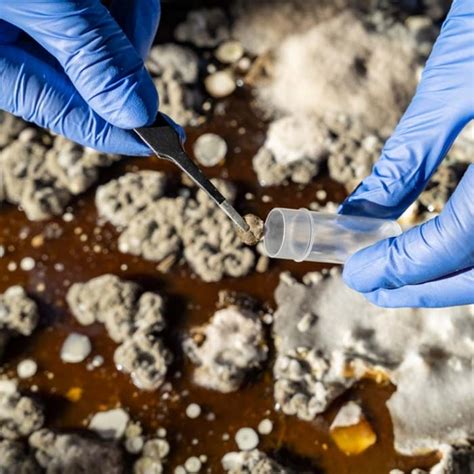 Image result for Mold Testing Philadelphia