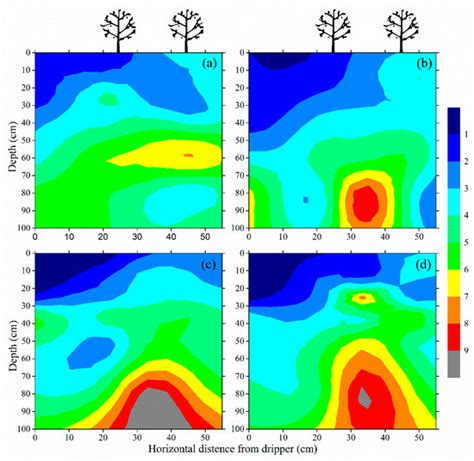 Dynamics and Distribution of Soil Salinity under Long-Term Mulched Drip ...