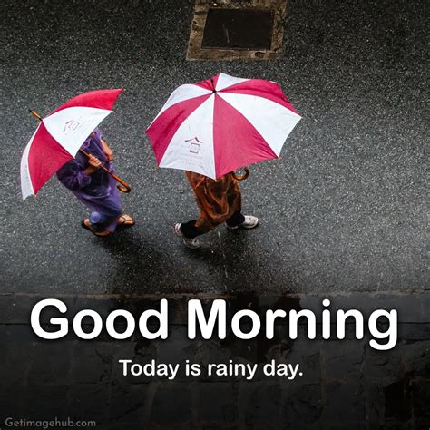 101+ Rainy Good Morning Images, Rainy Day Morning 2024