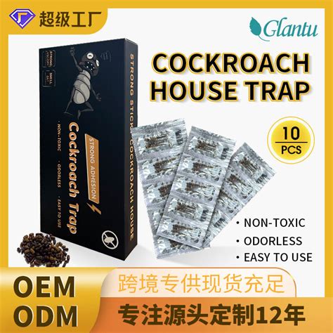 How to Make a Cockroach Trap 的图像结果