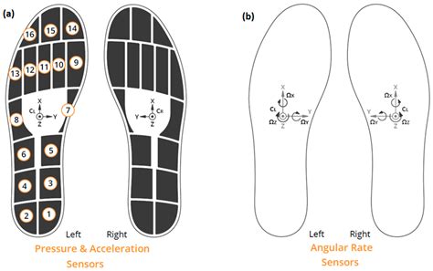 Can Gait Features Help in Differentiating Parkinson’s Disease ...