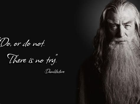 Dumbledore Harry Potter Quotes. QuotesGram