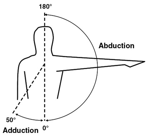 Range Of Motion Depicts at Janie Clark blog