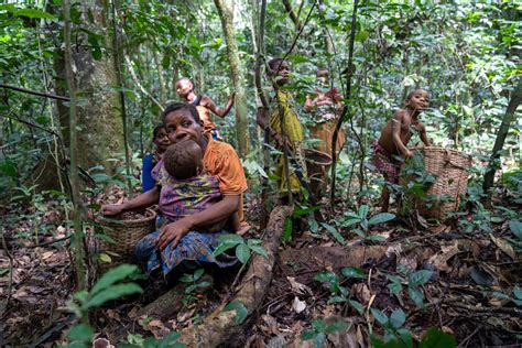 Mbuti: Congo’s Last Forest Pygmies Persist Despite Violence and Loss ...