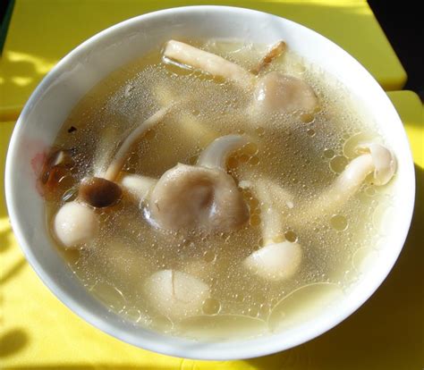 鲜茶树菇鸡汤的做法_鲜茶树菇鸡汤怎么做_鲜茶树菇鸡汤的家常做法_菩提林【心食谱】