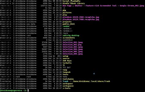 Is File Path a Type of File Metadata 的图像结果