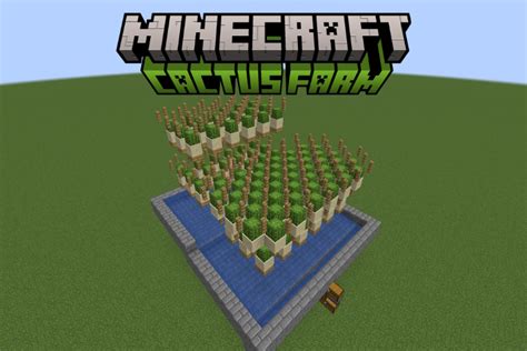 Image result for Cactus Farm Minecraft Java