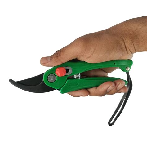 Garden Scissor for Pruning Plants, Premium - Multicolour – GardenTrails