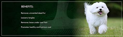 Wahl Undercoat Rake : Amazon.in: Pet Supplies