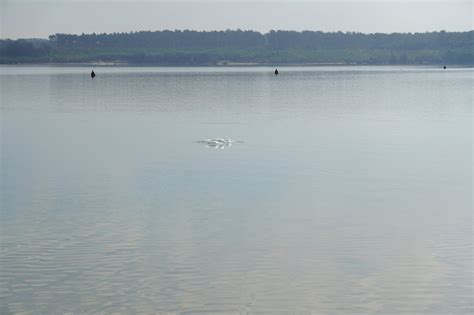 Odyssee.org - Odyssee am Silbersee 2021