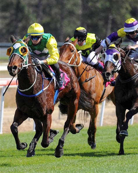 kosciuszko slot winners 2024,**Version 1: English**Attention