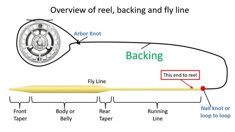 Image result for Loop to Loop Connection Fly Line to Backing