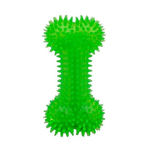 Buy xplaizer Spike Bone pet Toy Online at Low Prices in India - Amazon.in