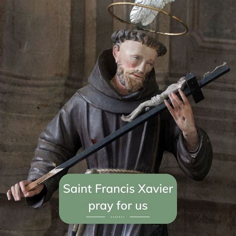 Saint Xavier Facts at Kristian Christenson blog