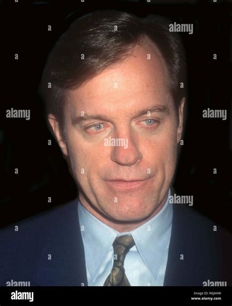 Stephen Collins 1997 Photo By John Barrett/PHOTOlink/MediaPunch Stock ...
